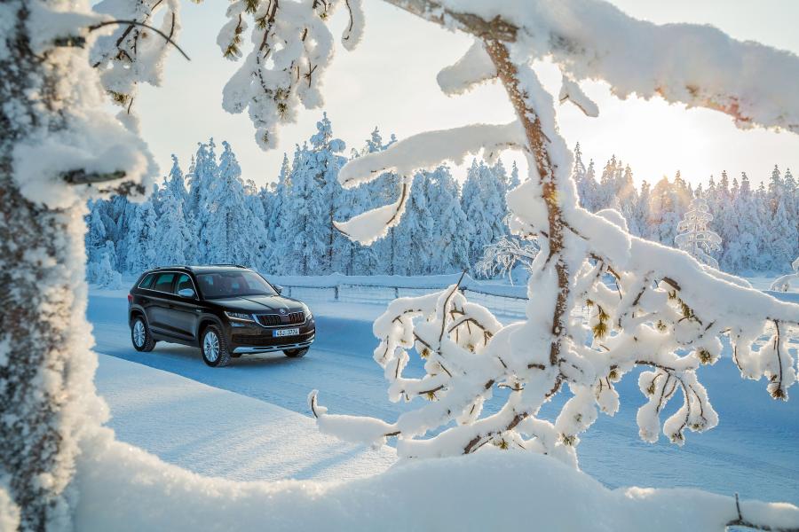  Skoda Kodiaq Scout 2017 года  (WW) (фото 24 из 61)